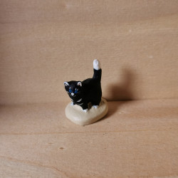 Chaton angora noir