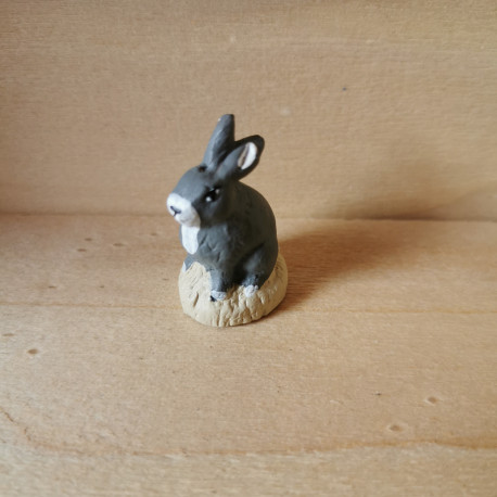 Lapin gris