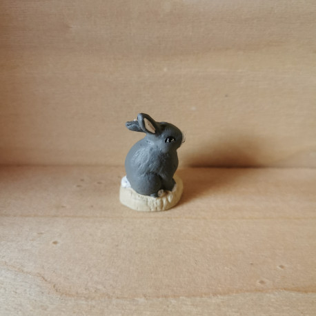 Lapin gris