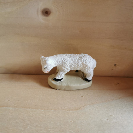 Mouton broutant